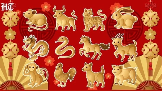 Chinese Horoscope Today, July 23, 2026: These signs may experience a day of stable growth and deepened relationships