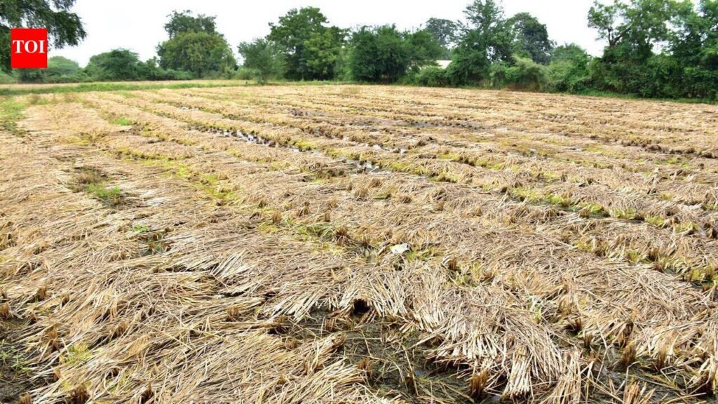 Implement central crop insurance scheme in Gujarat: Cong to state govt | Ahmedabad News