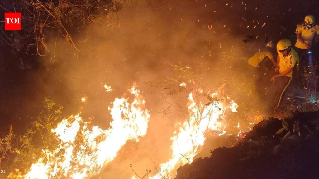 Satellite data flags high fire incidents in Haryana before crop burning season | Gurgaon News