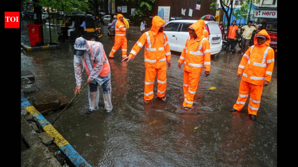 After Mumbai tree tragedy, Thane orders citywide survey of dangerous trees to prevent more accidents | Thane News