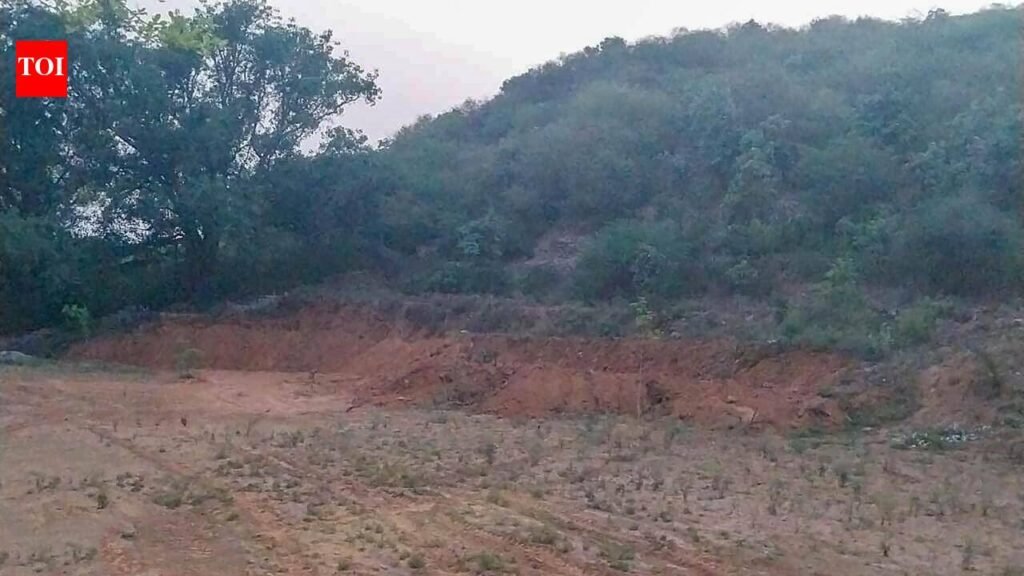 Section of Aravali hillock flattened in Mangar | Gurgaon News
