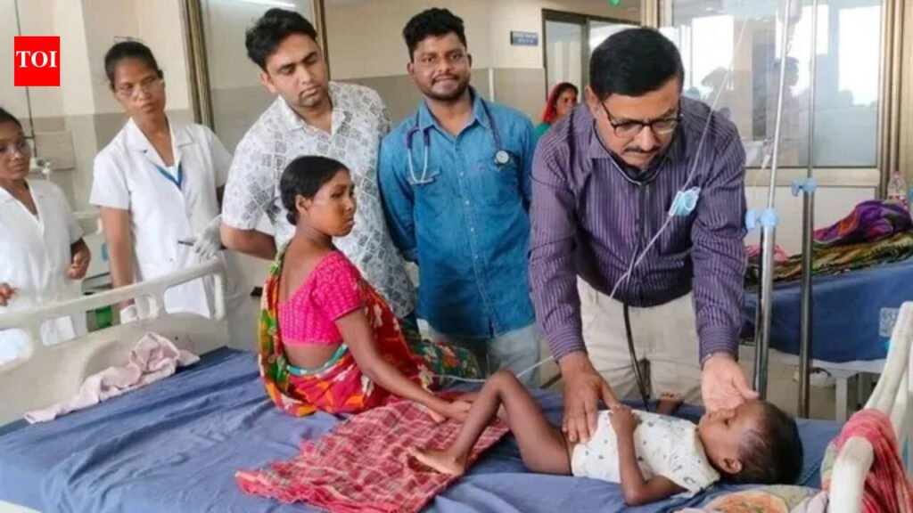 Health dept directs DCs to stay on alert over malaria cases | Ranchi News