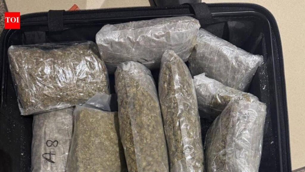 Bangkok returnee arrested with 4.2kg ganja at Ahmedabad airport | Ahmedabad News