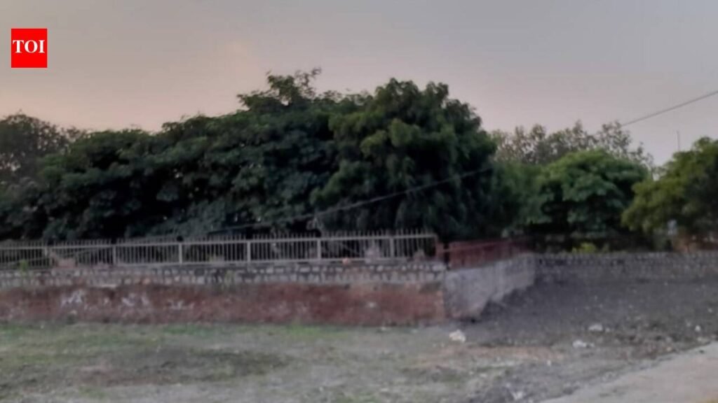 NGT issues next hearing date after joint committee flags severe environmental violations in Jhansi’s historic Laxmi Tal | Kanpur News
