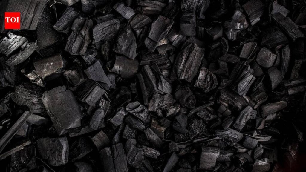 West Bengal emerges as major Black Carbon hotspot; CSE calls for urgent national strategy | Kolkata News