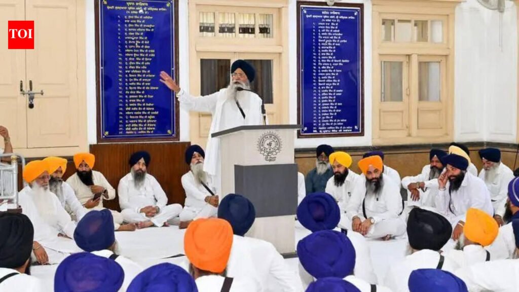 Honouring Guru Nanak’s ties: SGPC OKs Rs 21,000 a month for Bhai Mardana’s descendants in Pakistan | Chandigarh News