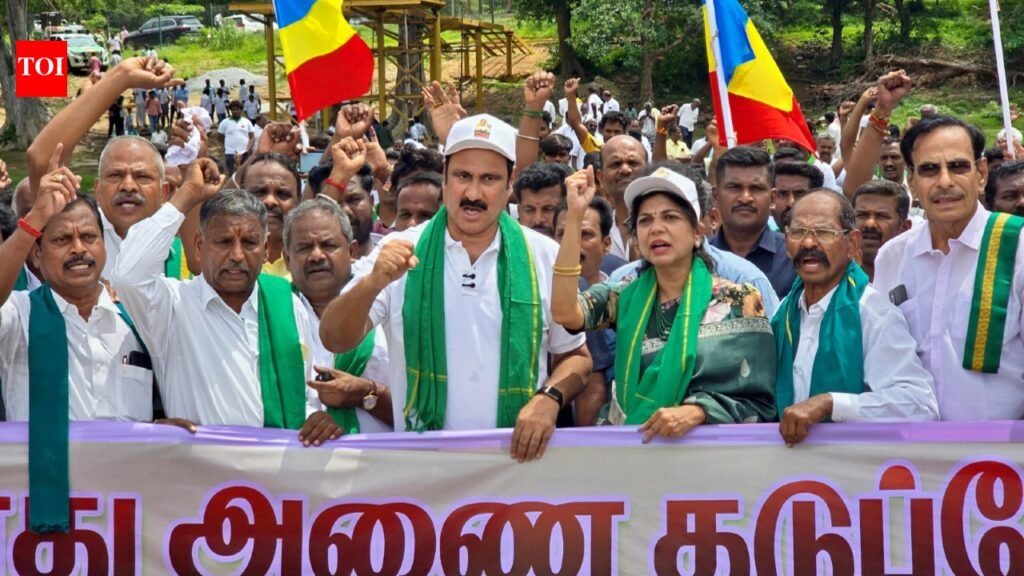 Construction of dam in Mekedatu will amount to genocide against Tamil Nadu: Anbumani | Chennai News