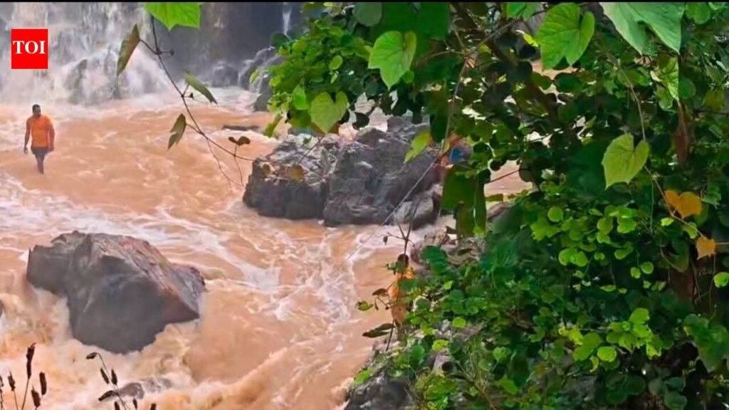 Tourist missing from waterfall still traceless | Bhubaneswar News
