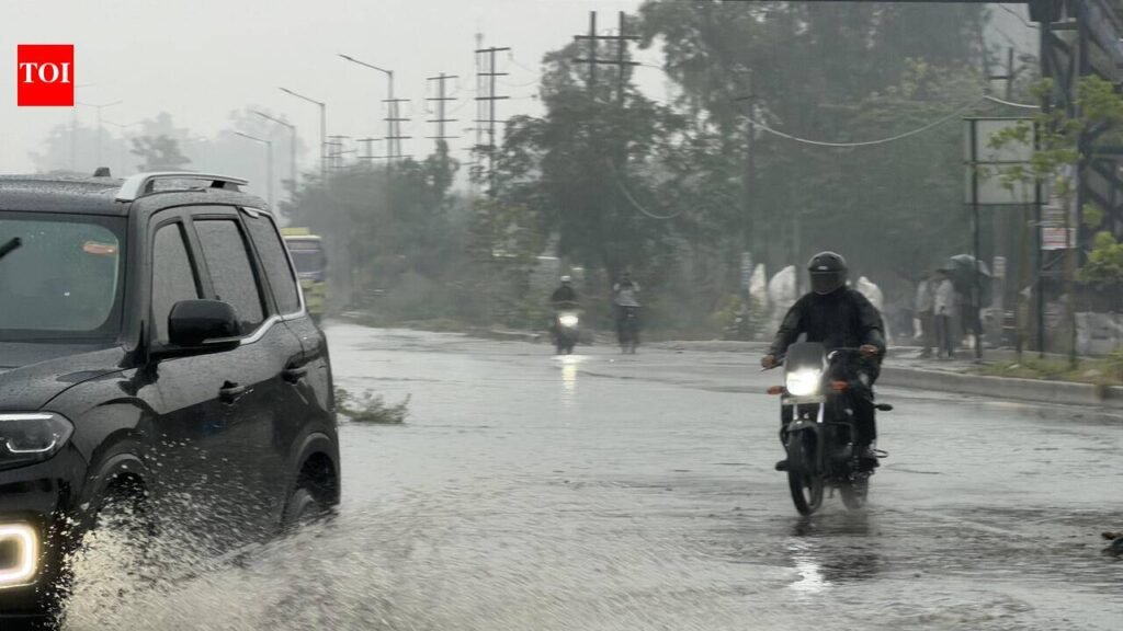 Despite MC claims, rain leaves several areas waterlogged | Ludhiana News