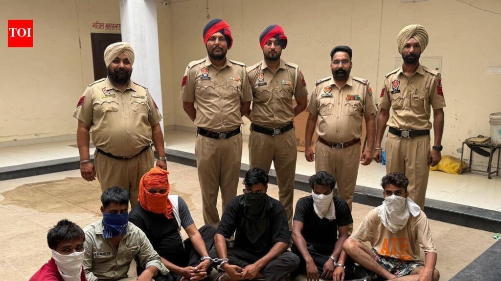 Gang behind ‘Dikri’ scam busted, 6 held in Kharar | Chandigarh News