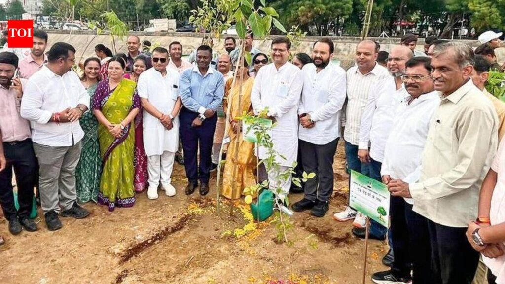 1 lakh trees to transform Chhani canal stretch | Vadodara News