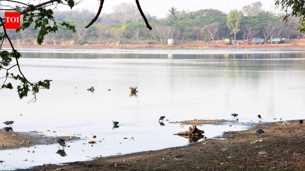 Water crisis deepens: Only 29 of 2,991 lakes filled, 281 dry | Mysuru News