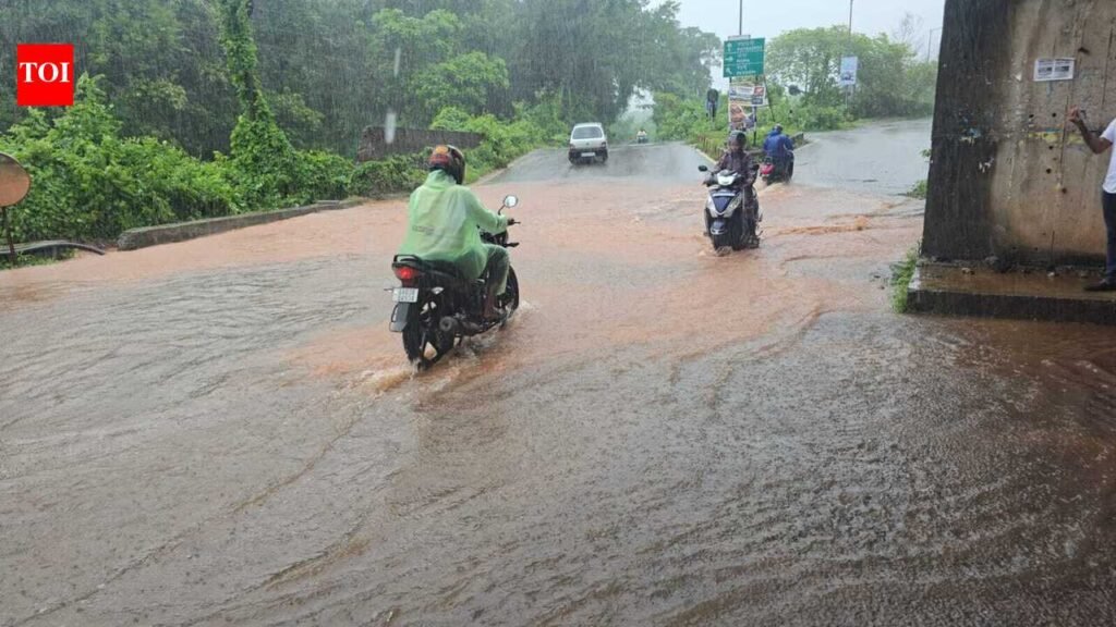 Malpe flyover flooding triggers ultimatum, protest threat on NH 66 | Goa News