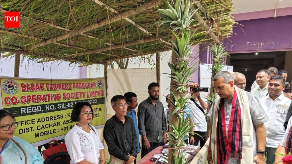 Cachar pineapple farmers eye wider national & export markets after APEDA buyer-seller meet | Guwahati News