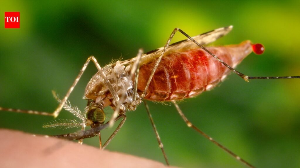 Monsoon triggers spike in viral fevers | Hyderabad News