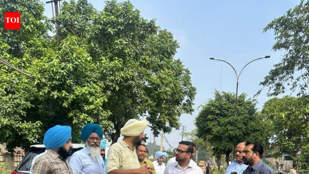 Ludhiana MC orders sewer overhaul in Focal Point | Ludhiana News