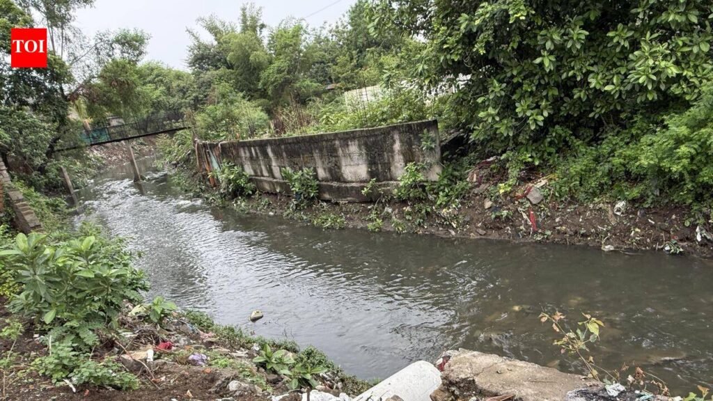 29.65km Retaining Walls Missing Or Broken; Residents Along River, Nullah Banks Dread Flood Fury | Nagpur News