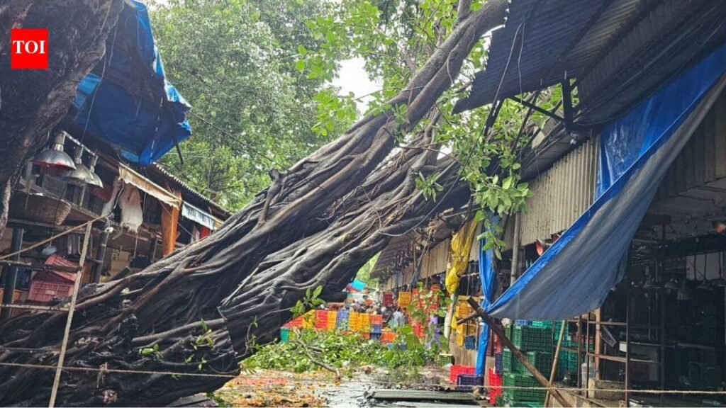 Tree crashes onto road near flower market in Mumbai; no injuries reported | Mumbai News