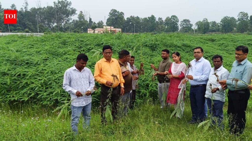 2,370 farmers learn soil health restoration methods at Ramgarh KVK | Ranchi News