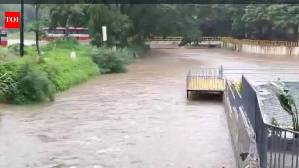 Kodagu district records 47.38 mm rain in 24 hours | Mysuru News