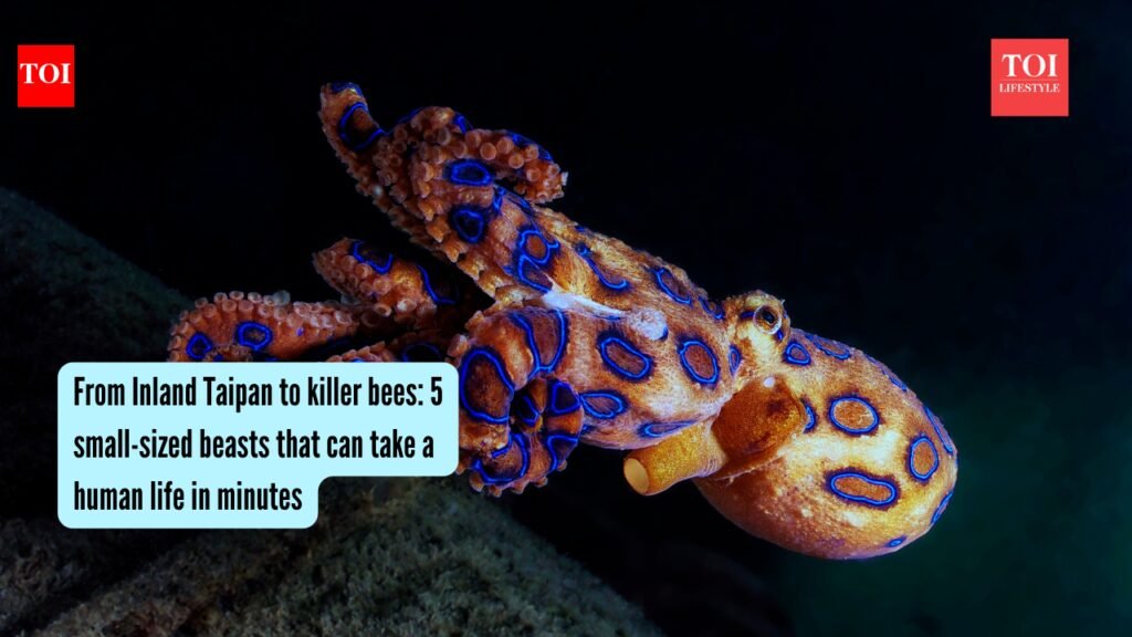5 small-sized beasts that can take a human life in minutes