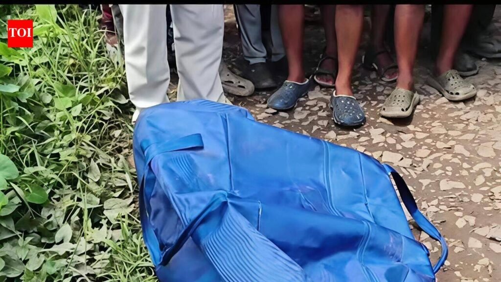 Engineer killed dad, stashed body in bag | Kolkata News