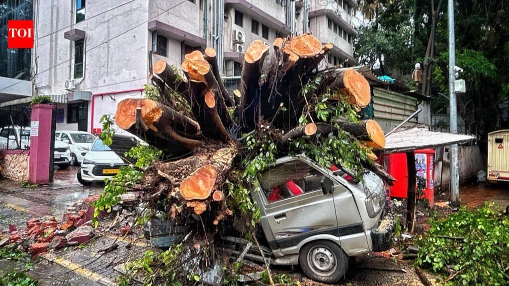 Over 50 tree-fall cases keep fire brigade personnel on their toes | Pune News