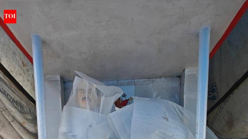 Syama Prasad Mookerjee Statue Pedestal Vandalized in Kolkata, One Arrested | Kolkata News