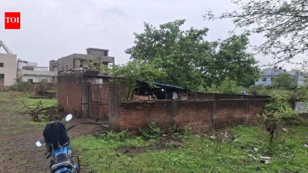 Man axes live-in partner’s father for opposing affair | Nagpur News