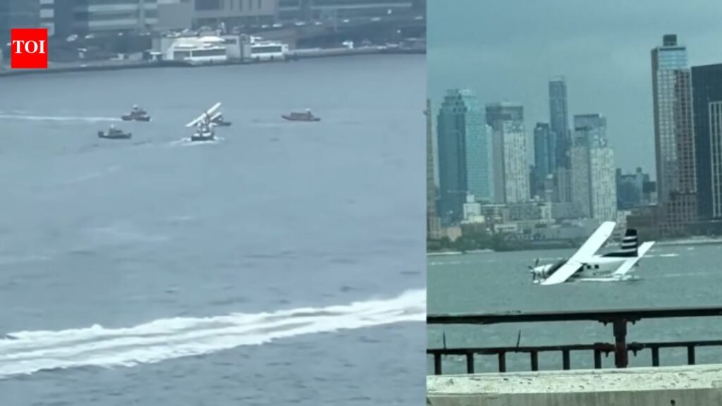 Seaplane carrying 8 crashes into New York’s East River, all rescued – video