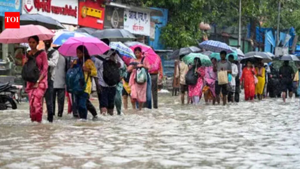 Thane declares holiday for all schools on July 6 amid orange alert for heavy rain | Thane News