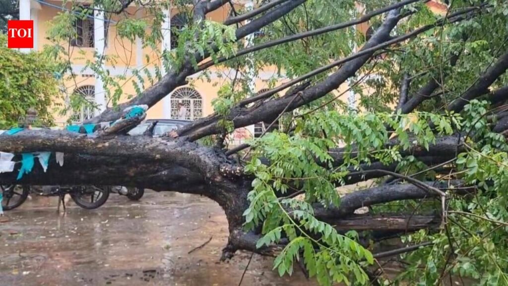 Koraput gets 101.26 mm rain in 24 hrs | Bhubaneswar News