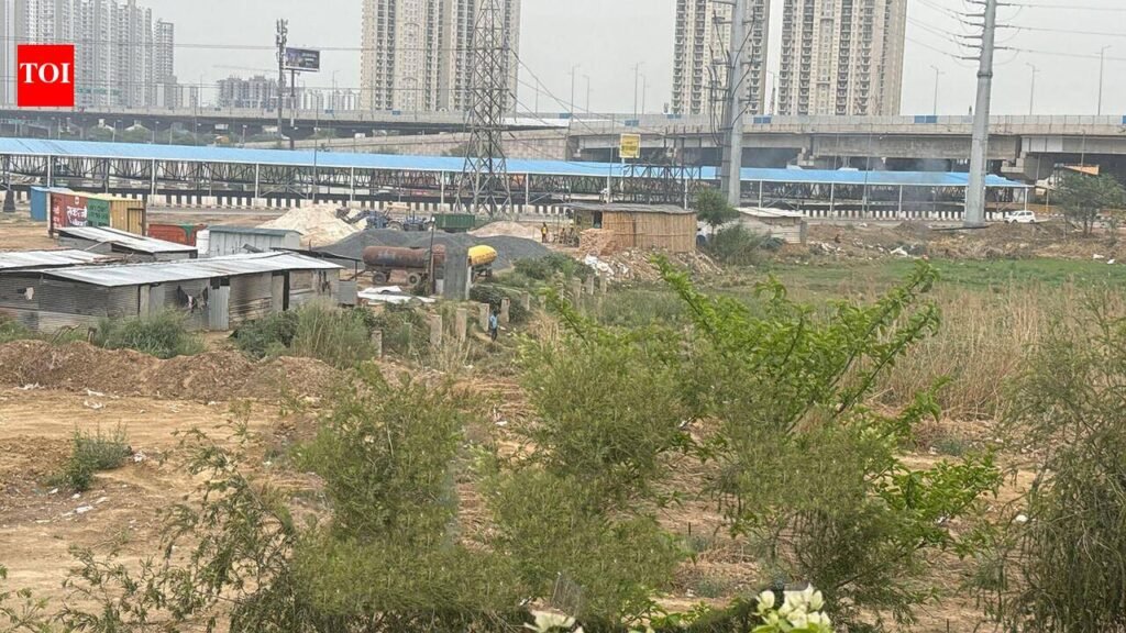 Debris dumping & open garbage burning leave societies fuming | Gurgaon News