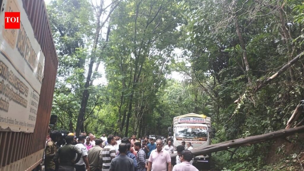 Fallen tree disrupts traffic on Chorla Ghat | Goa News