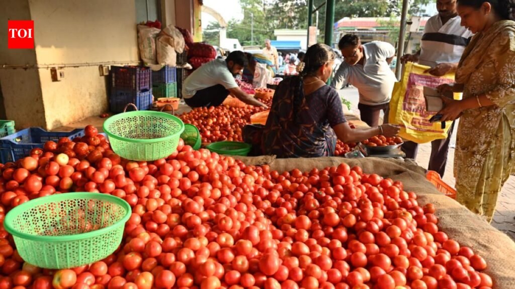 Tomato prices fall to Rs 15 in Coimbatore amid surge in local, outstation arrivals | Coimbatore News