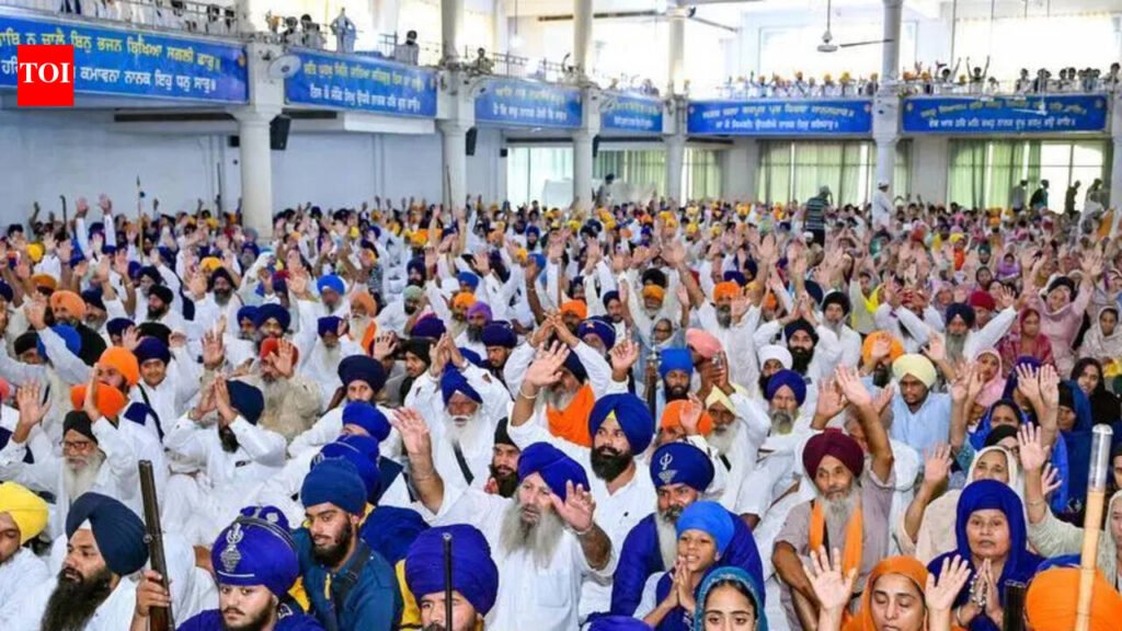 SGPC to take Akal Takht directives against CM Mann to village level | Chandigarh News