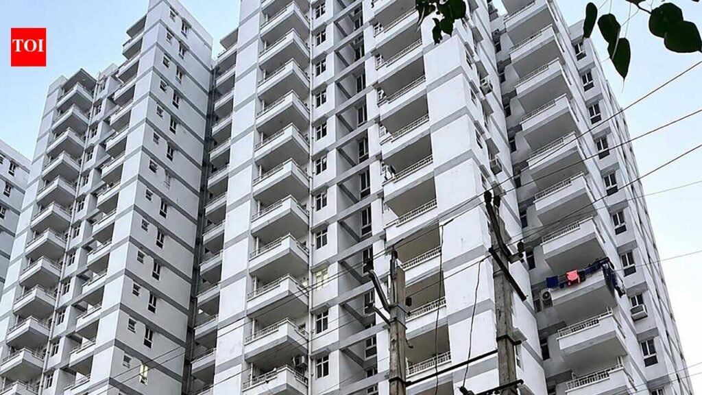 NBW against realty company MD, director in compensation case | Gurgaon News