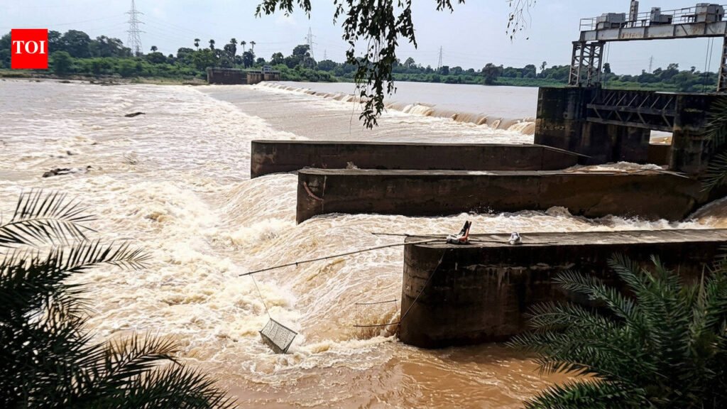 Govt warns of flash flood threat in Baitarani | Bhubaneswar News