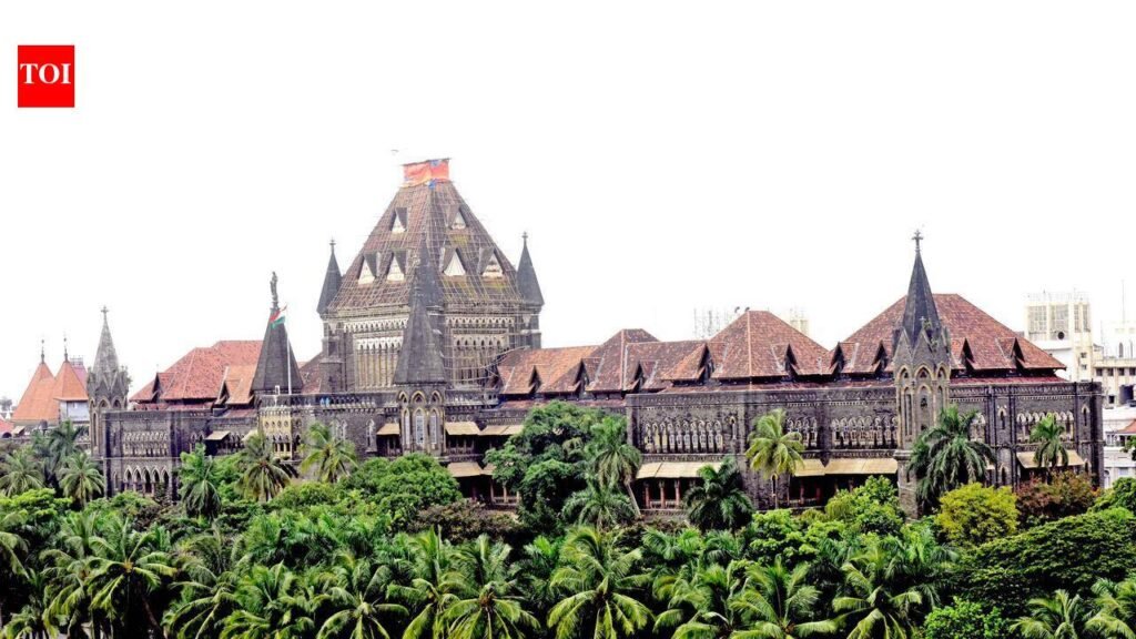 Compliance affidavits an ‘eyewash’, Bombay high court raps BMC over open manholes in Mumbai | Mumbai News