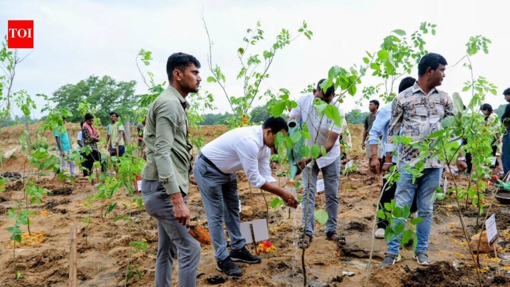 BMC plants 8k saplings in Miyawaki method | Bhubaneswar News