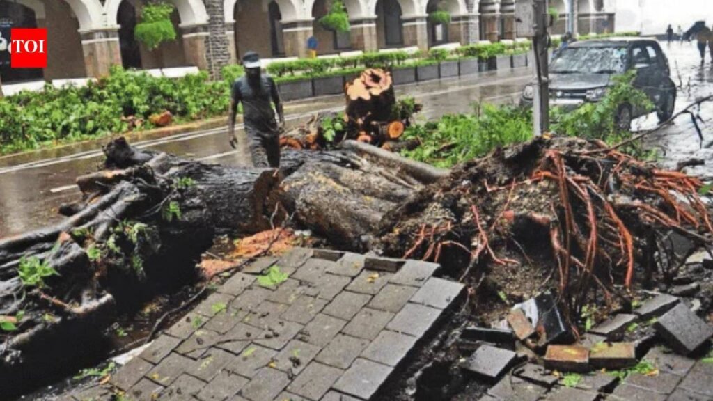 Mumbai monsoon mayhem: 2 trees fell every hour on average in just 14 days | Mumbai News