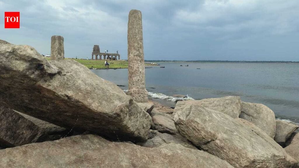 Mysuru records 42% rainfall deficit, crops under stress | Mysuru News