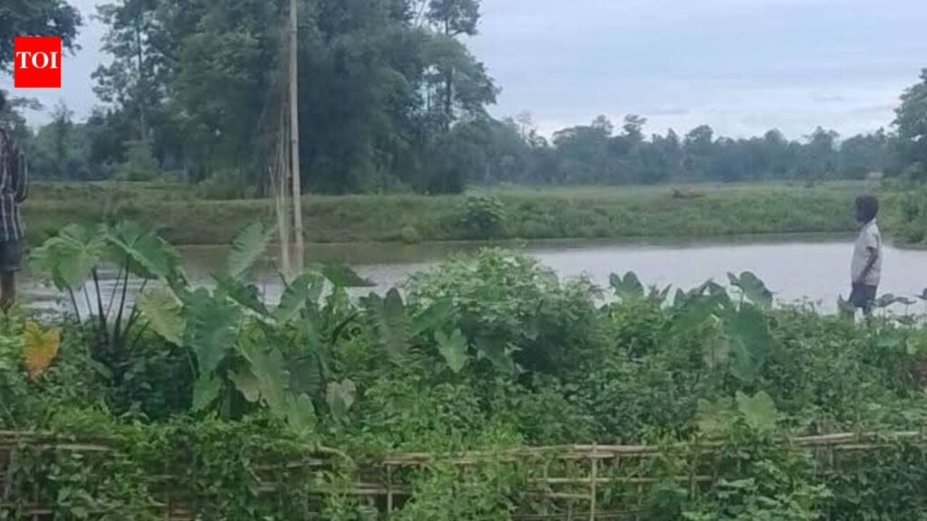 Elephant found dead in Tinsukia paddy field, probe on | Guwahati News