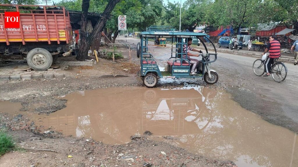 Stagnant water camouflages potholes on city roads, residents demand repairs | Chandigarh News