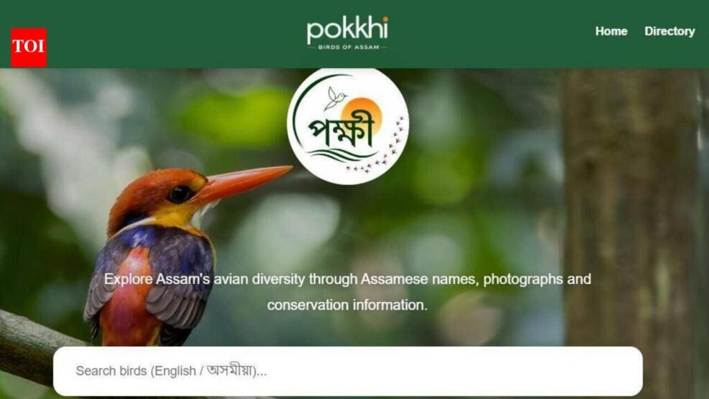 Assam launches 1st digital bird repository ‘Pokkhi’ with 376 species profiles | Guwahati News