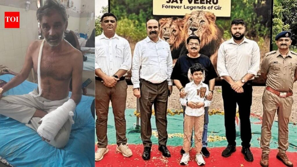 I was wondering whether I’d die there or in the hospital: Lion attack survivor | Ahmedabad News