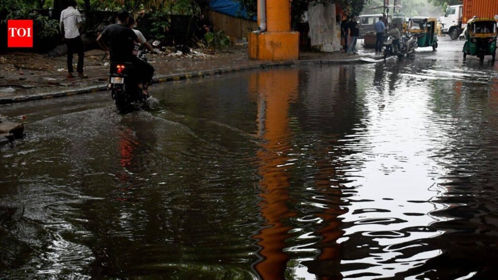 ‘E20 petrol can wait, pehle road sahi karo’ | Delhi News