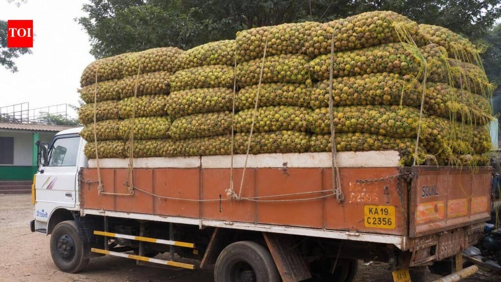 Maharashtra halts checks on Karnataka arecanut trucks | Mysuru News