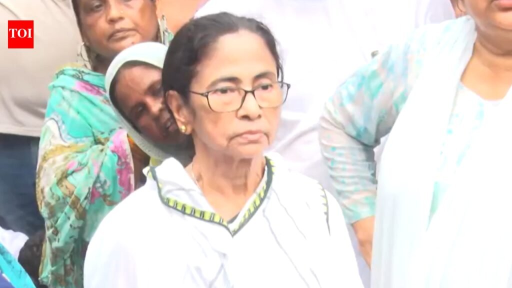 ‘Chor, chor’: Eggs thrown at Mamata Banerjee’s rally in West Bengal; watch | India News