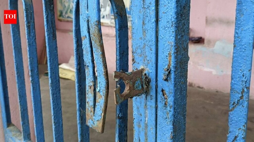 Burglars strike 5 temples in Balasore, steal jewellery worth Rs 5L | Bhubaneswar News